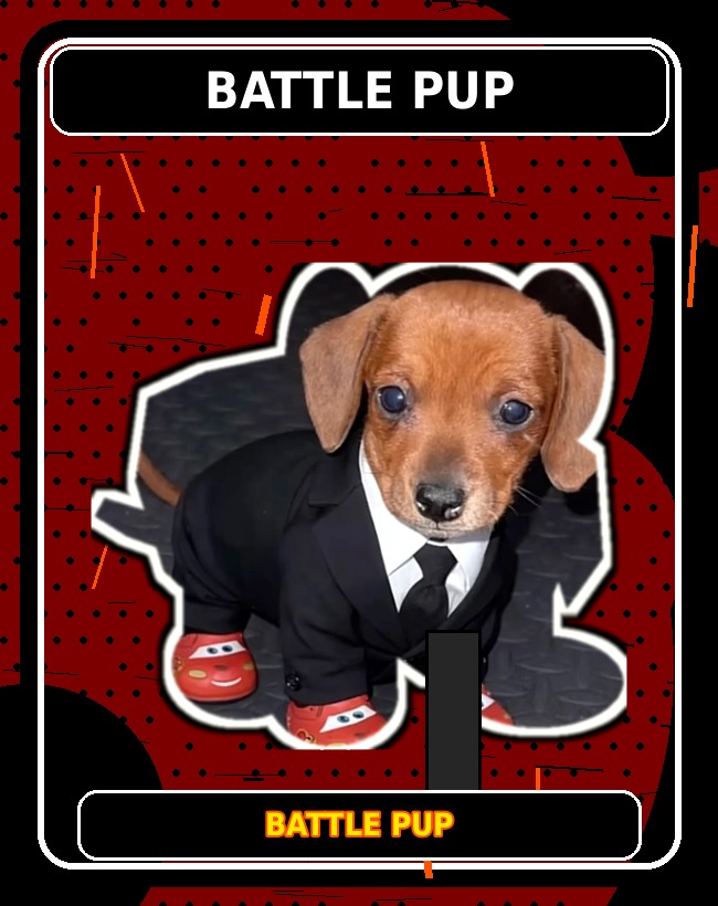 Battle Pup