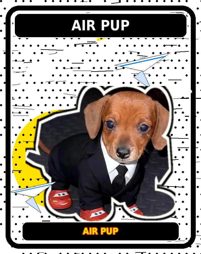 Air Pup