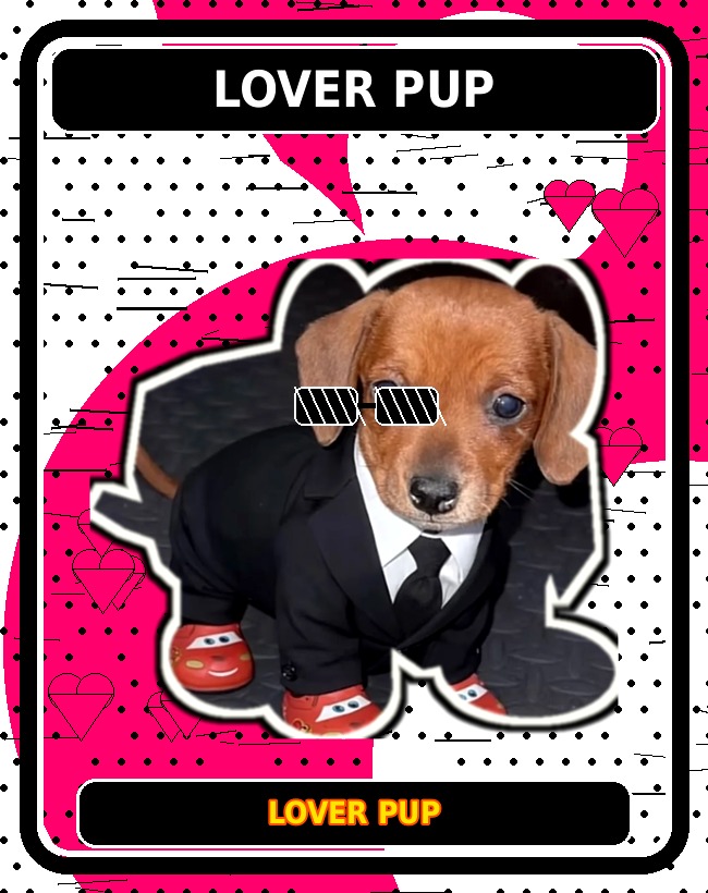 Lover Pup