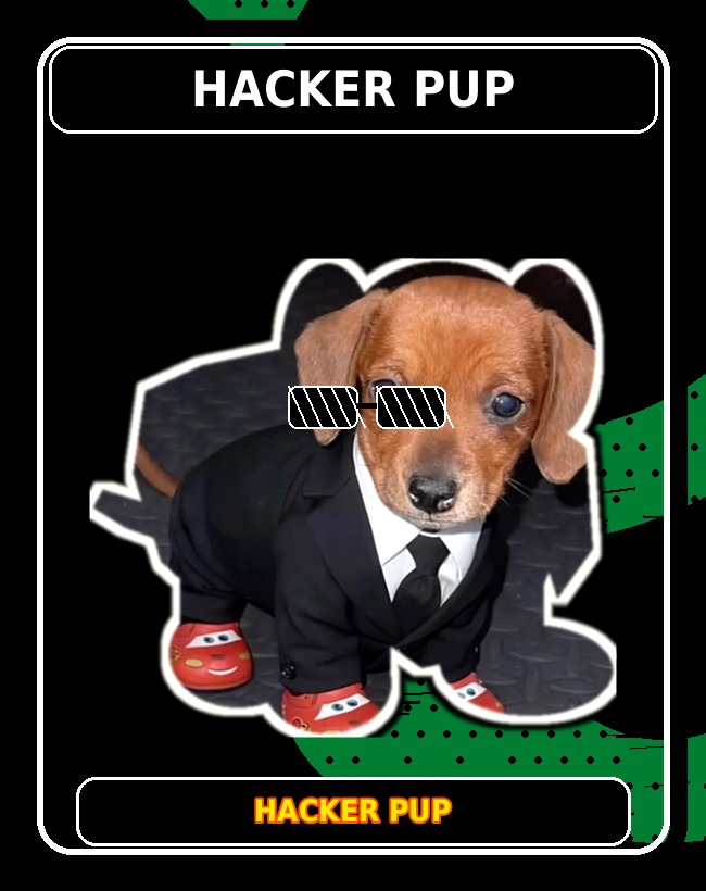 Hacker Pup