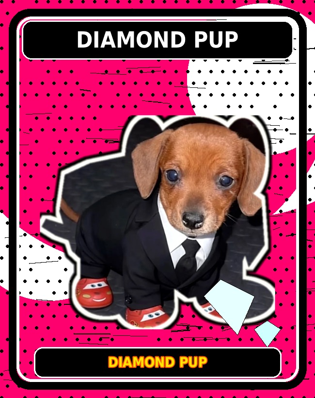 Diamond Pup